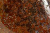 Tumbled Banded Agate Nodule - Kerrouchen, Morocco #324028-1